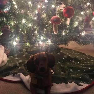 Meet your Posher, Jen